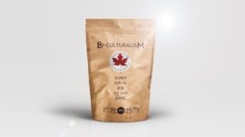 Vancouver_Marketing_Agency_Multicultural_blog